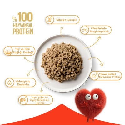 Wanpy Tahılsız %100 Ton Balıklı Kedi Konservesi 375 gr