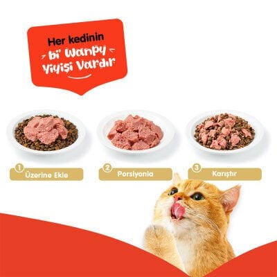 Wanpy Tahılsız %100 Ton Balıklı Kedi Konservesi 375 gr