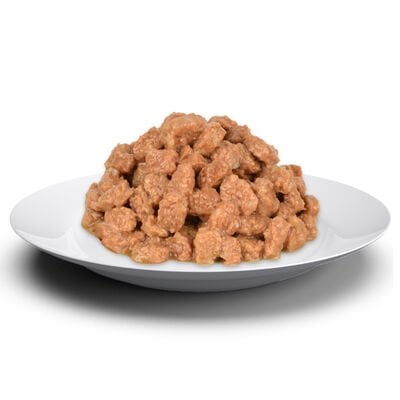 Jungle Pouch Kedi Somonlu Jöleli Yaş Mama 100 Gr