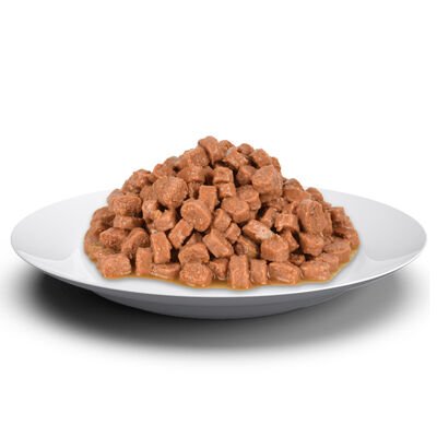 Jungle Pouch Kısır Kedi Biftekli Soslu Yaş Mama 100 Gr