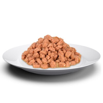 Jungle Pouch Kedi Tavuklu Jöleli Yaş Mama 100 Gr