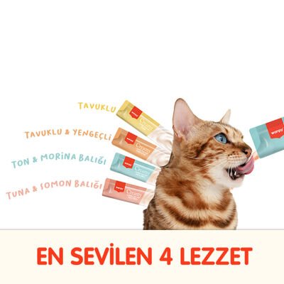 Wanpy Krema Kedi Ödül Maması 14gr (100 Adet) (Karışık Çeşitli)