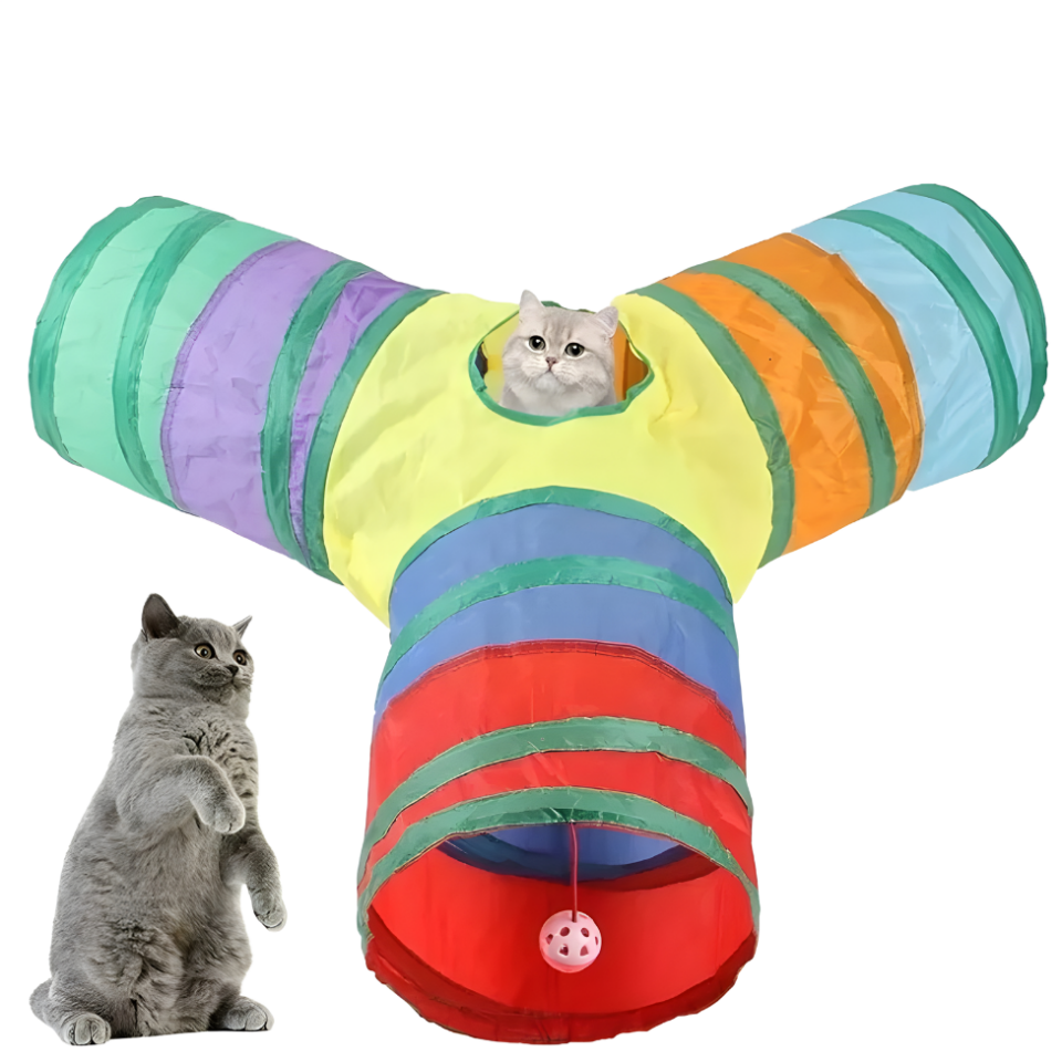 Kedi Oyun Tüneli