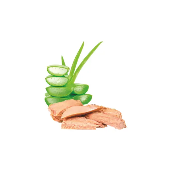 Natura Ton Balıklı ve Aloe Veralı Yavru Kedi Konservesi 70gr