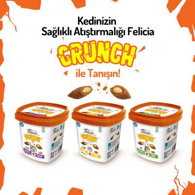 Felicia Vitality Crunch Sığır Etli Yaban Mersinli ve Sütlü Kedi Ödül Maması 100gr