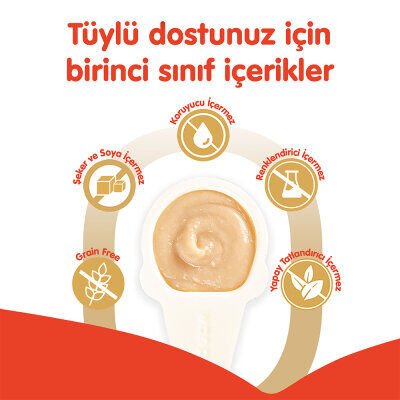 Wanpy Somonlu Kaşık Krema Kedi Ödül Maması 10x16gr
