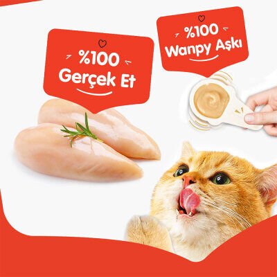 Wanpy Tavuklu Kaşık Krema Kedi Ödül Maması 10x16gr