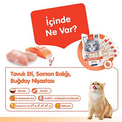 Wanpy Digestive Health Somonlu ve Tavuklu Sindirim Desteği Krema Kedi Ödül Maması 14gr (5'li)
