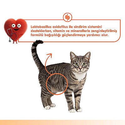 Wanpy Digestive Health Somonlu ve Tavuklu Sindirim Desteği Krema Kedi Ödül Maması 14gr (5'li)
