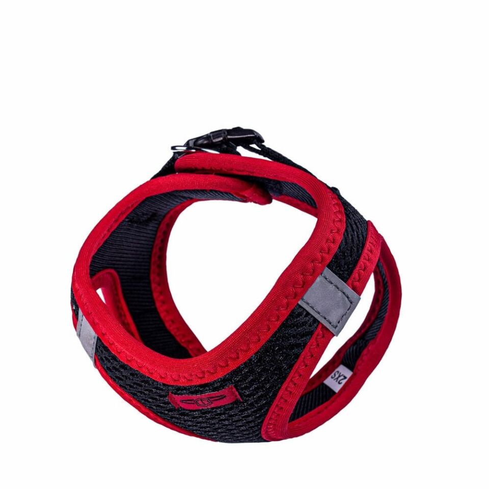 Doggie Neon Küçük Irk Köpek Göğüs Tasması 2XS 26-30cm