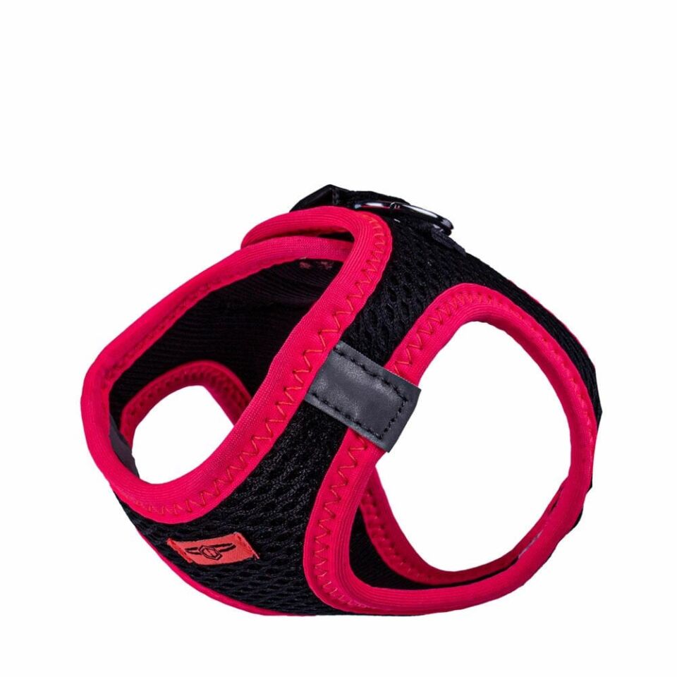 Doggie Neon Küçük Irk Köpek Göğüs Tasması 2XS 26-30cm