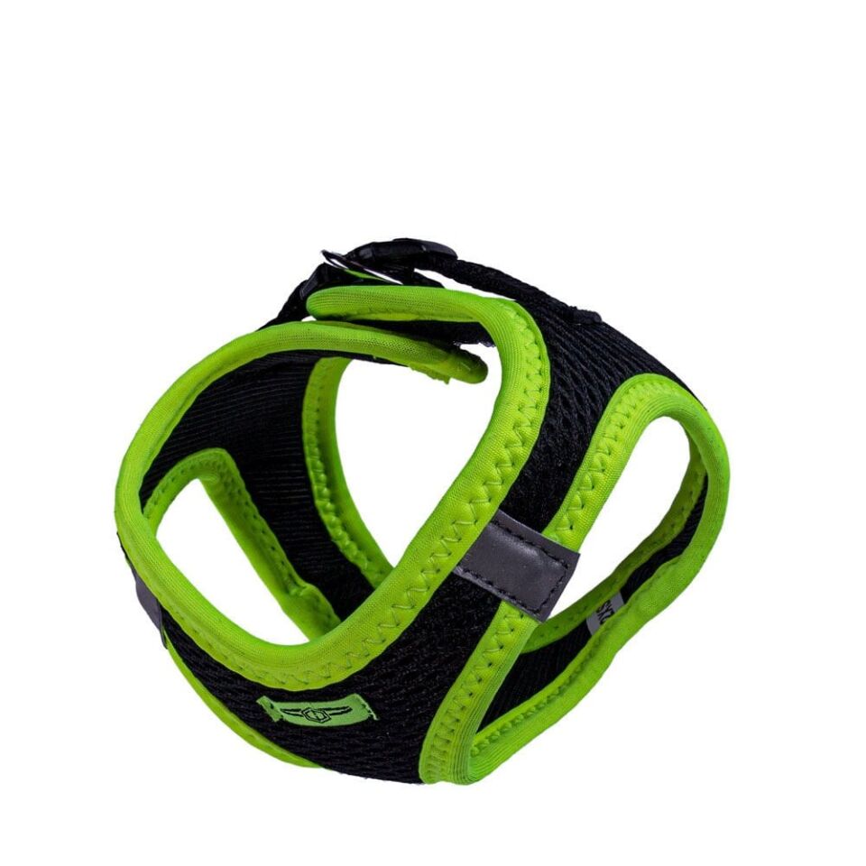 Doggie Neon Küçük Irk Köpek Göğüs Tasması 2XS 26-30cm