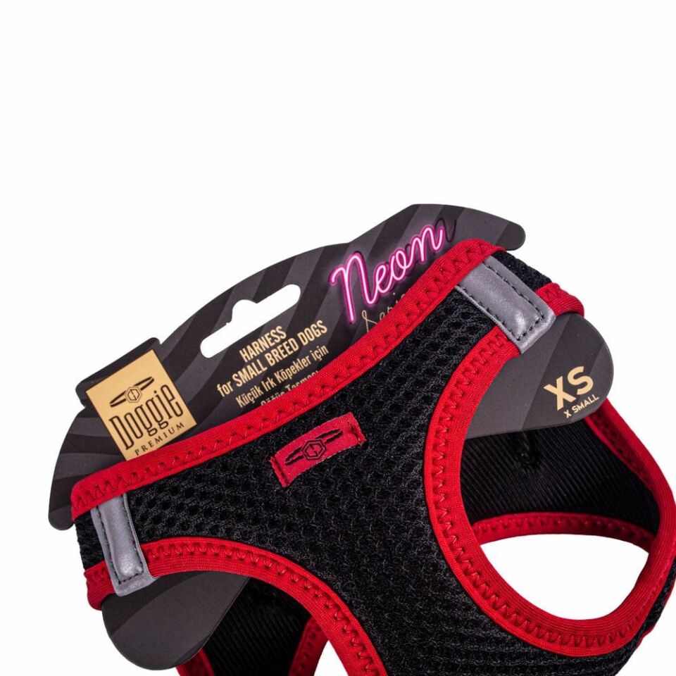 Doggie Neon Küçük Irk Köpek Göğüs Tasması XS 30-34cm