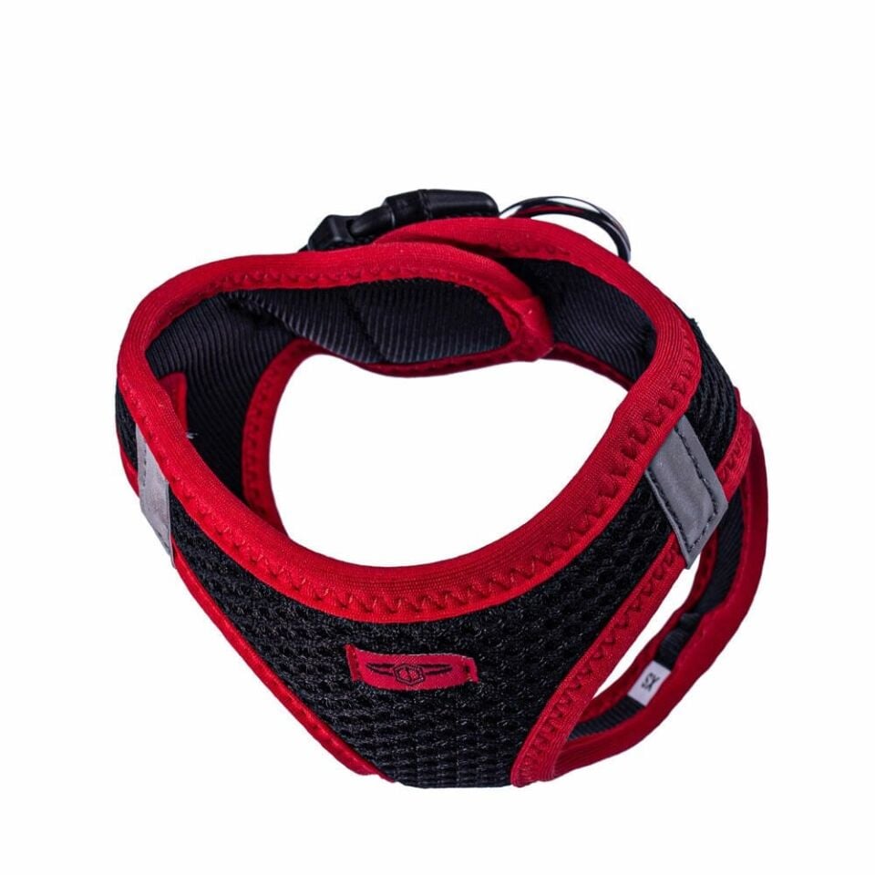 Doggie Neon Küçük Irk Köpek Göğüs Tasması XS 30-34cm
