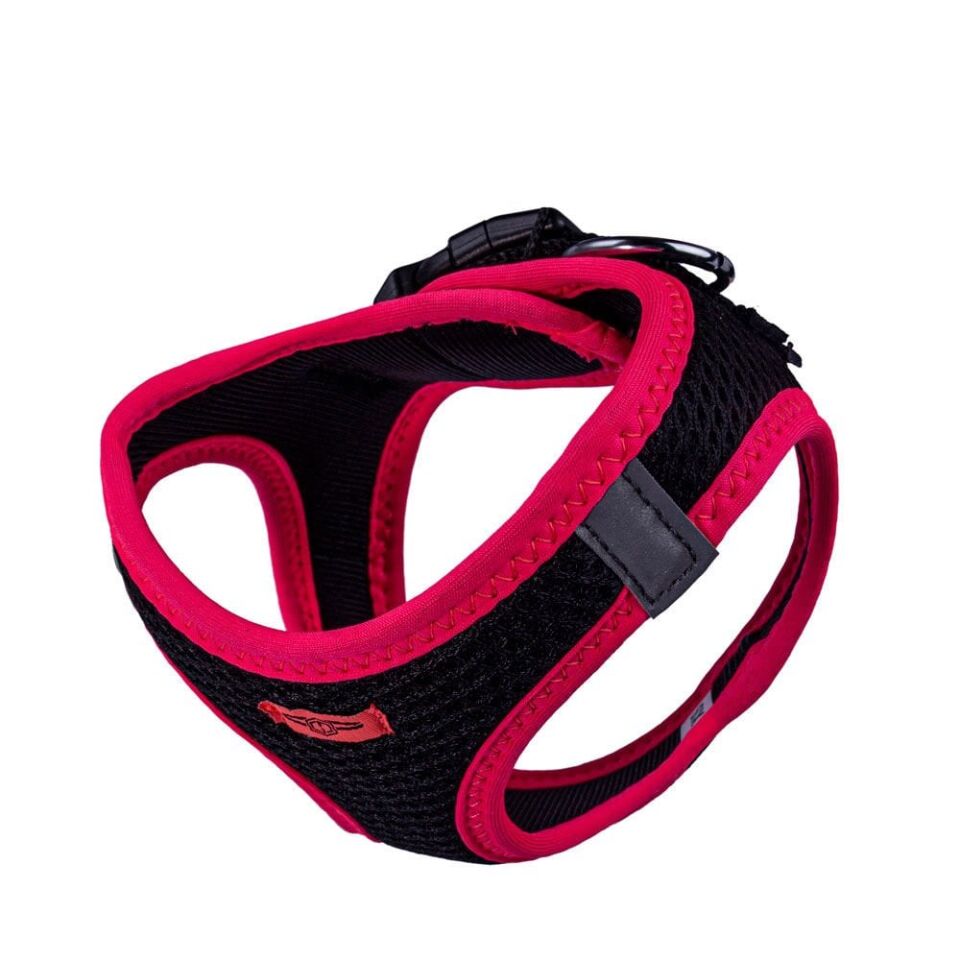 Doggie Neon Küçük Irk Köpek Göğüs Tasması XS 30-34cm