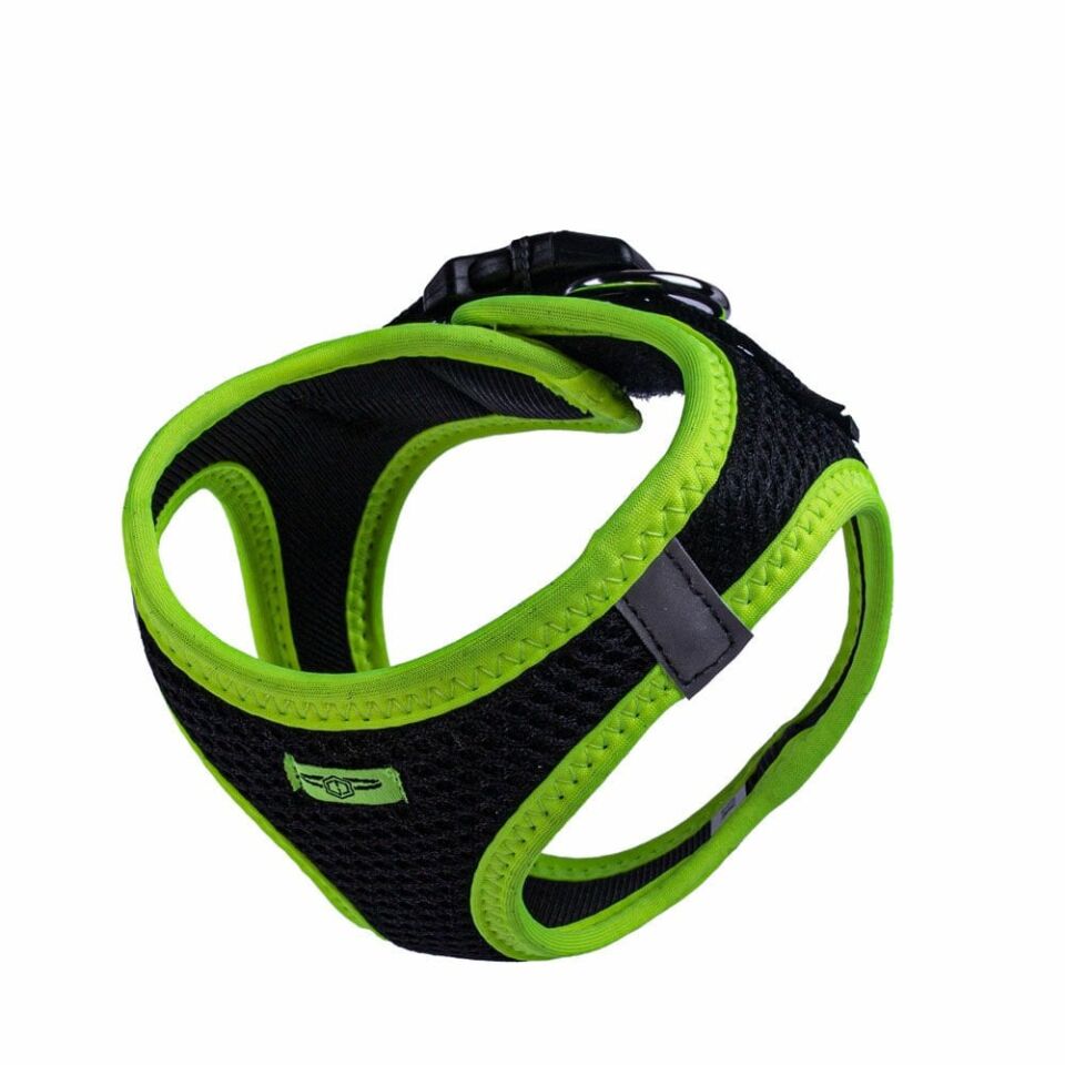 Doggie Neon Küçük Irk Köpek Göğüs Tasması XS 30-34cm