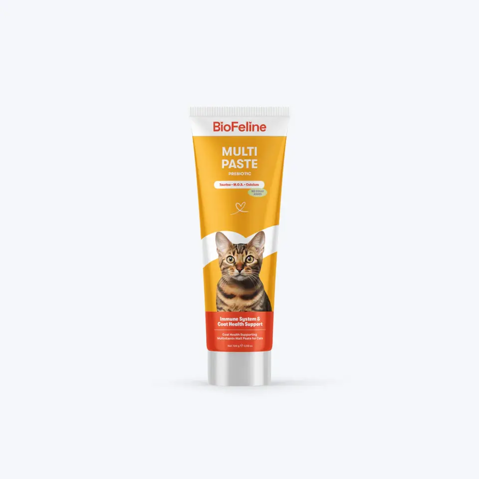 Tüy Yumağı ve Bağışıklık Zayıflığı Azaltıcı Kediler İçin Multivitamin Macunu 100 g